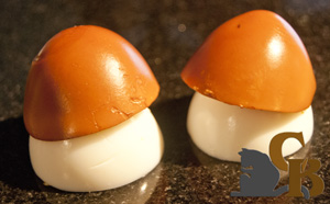 paddenstoelen